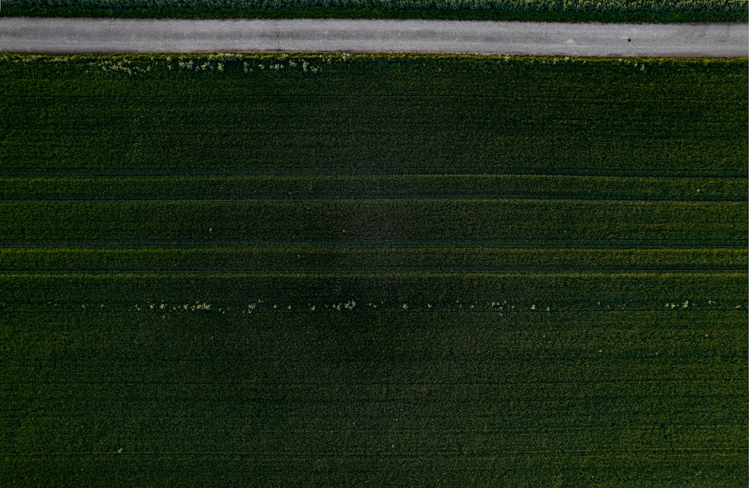 Nuovi avvisi contributivi per autonomi agricoli: cosa cambia nel 2025