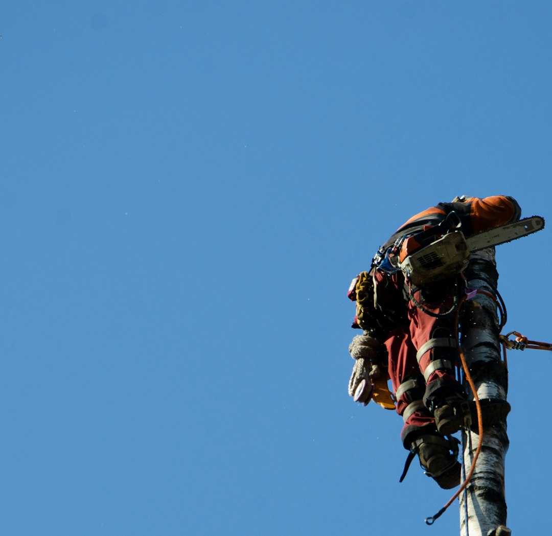 Autorizzazione al lavoro minorile: regole, limiti e gestione sicura