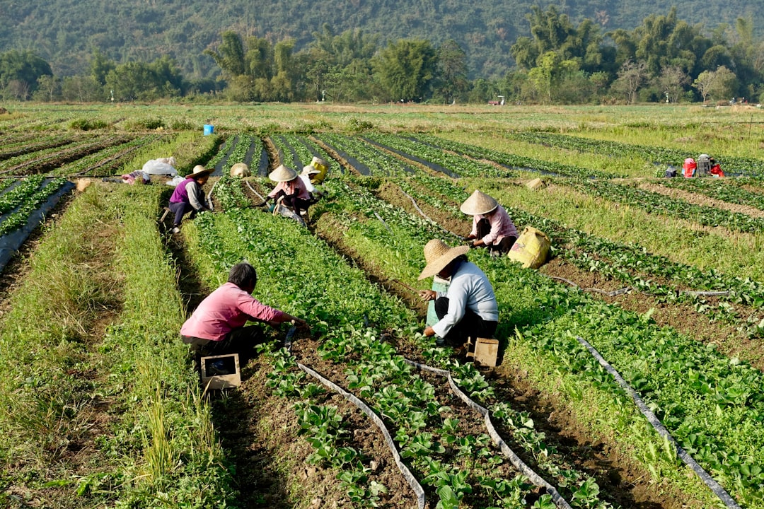 protocollo inps-prefettura roma: nuove tutele per il lavoro agricolo