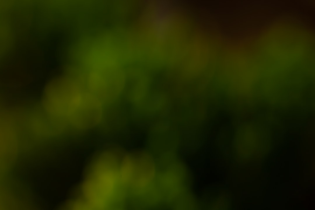 indennità di tirocinio gol sicilia: come funziona per le aziende