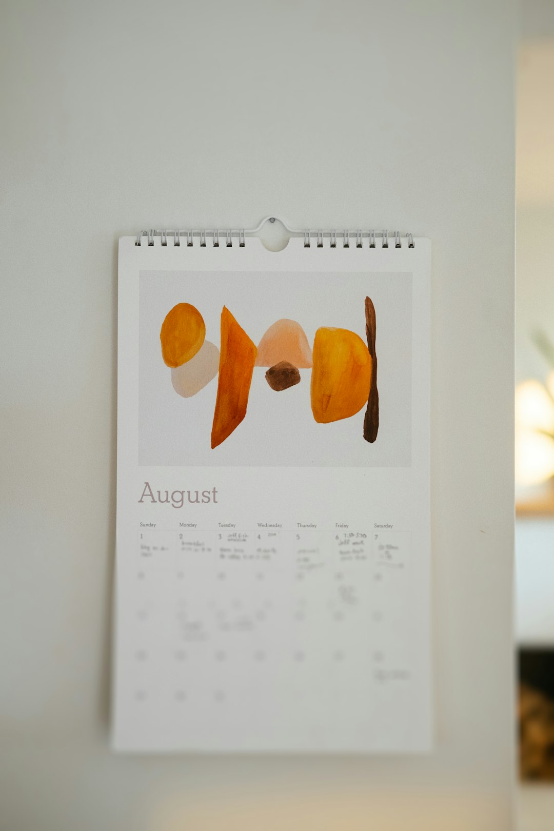 Piano ferie aziendale: definizione, obblighi e gestione efficace