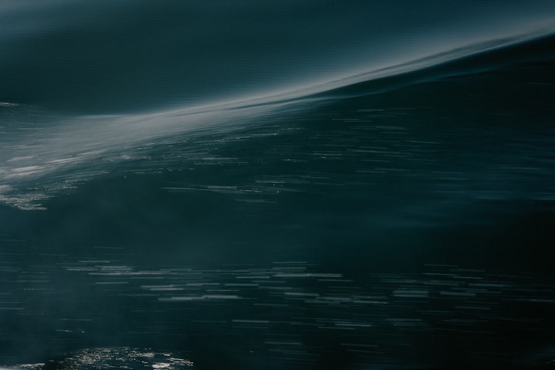 inps e lavoro: cosa aspettarsi dagli eventi di gennaio 2024