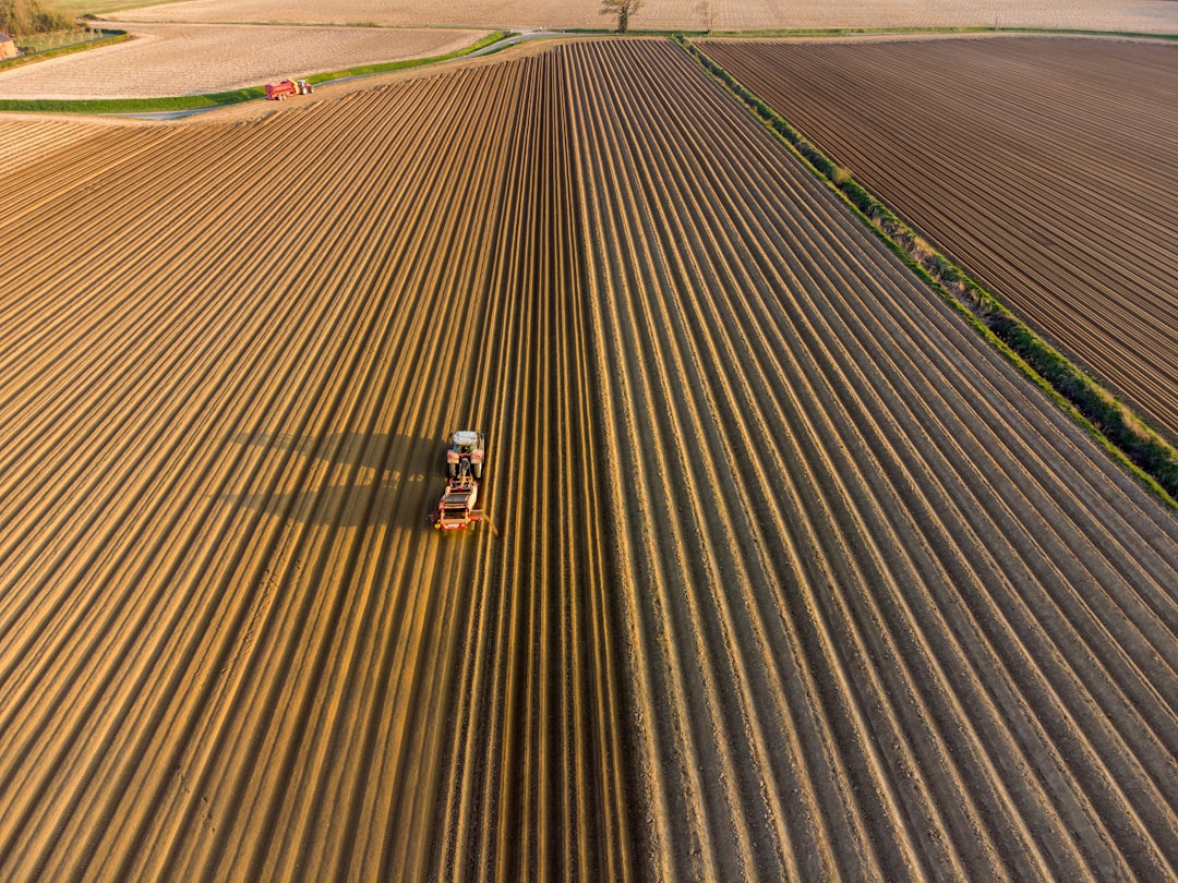 Fondo di tesoreria tfr: nuove regole per datori agricoli dal 2026