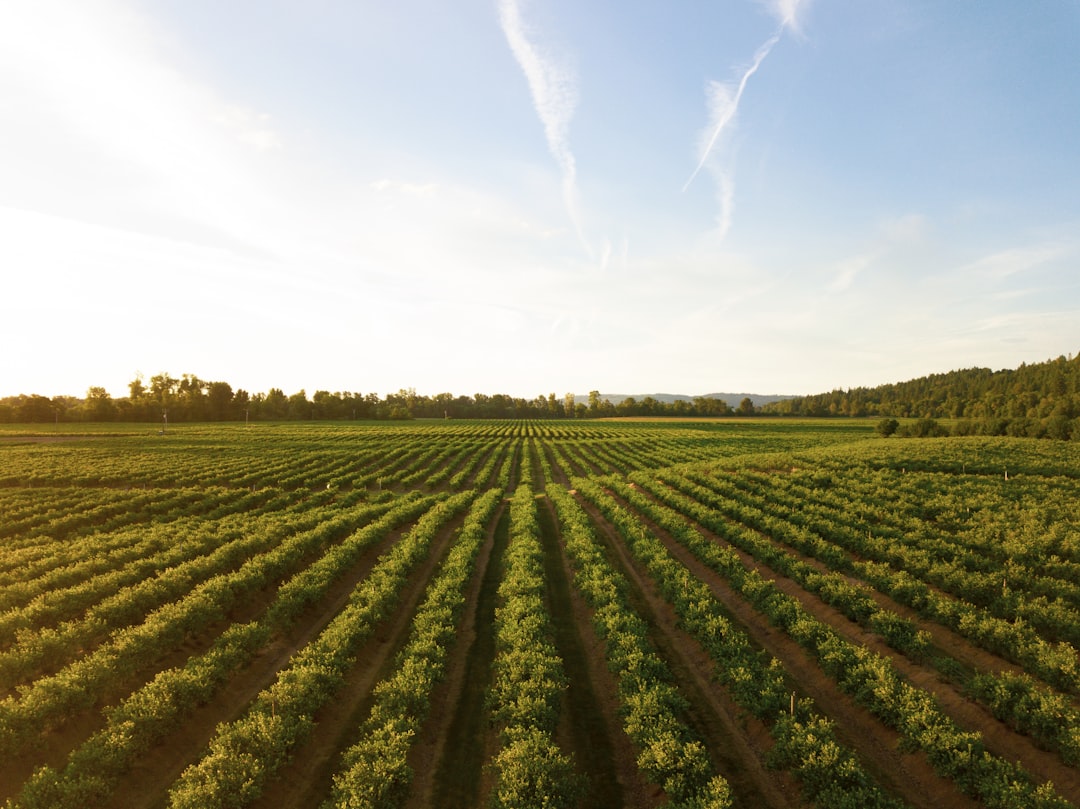 Esoneri contributivi agricoltura: cosa fare dopo i controlli inps