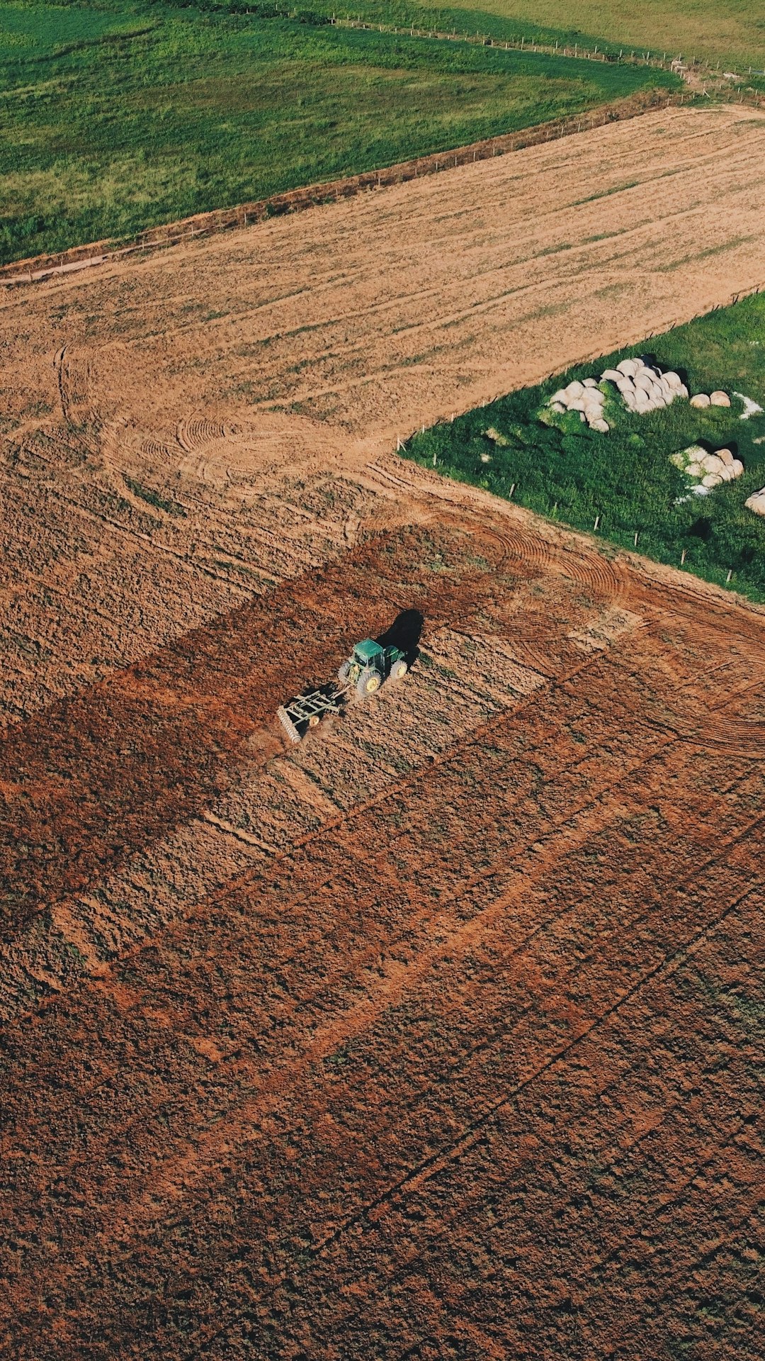 Fondo di tesoreria: nuove regole per i datori di lavoro agricoli dal 2026