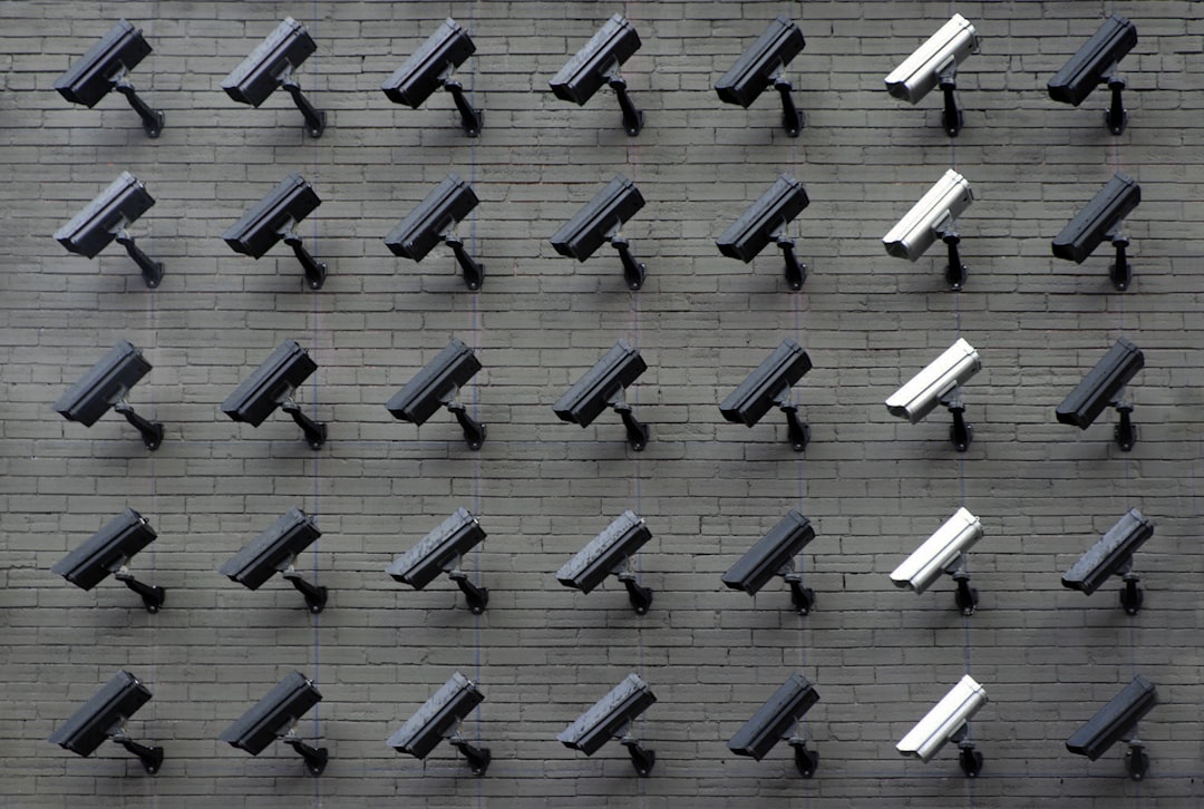 registro unico degli impianti di videosorveglianza: regole e gestione sicura